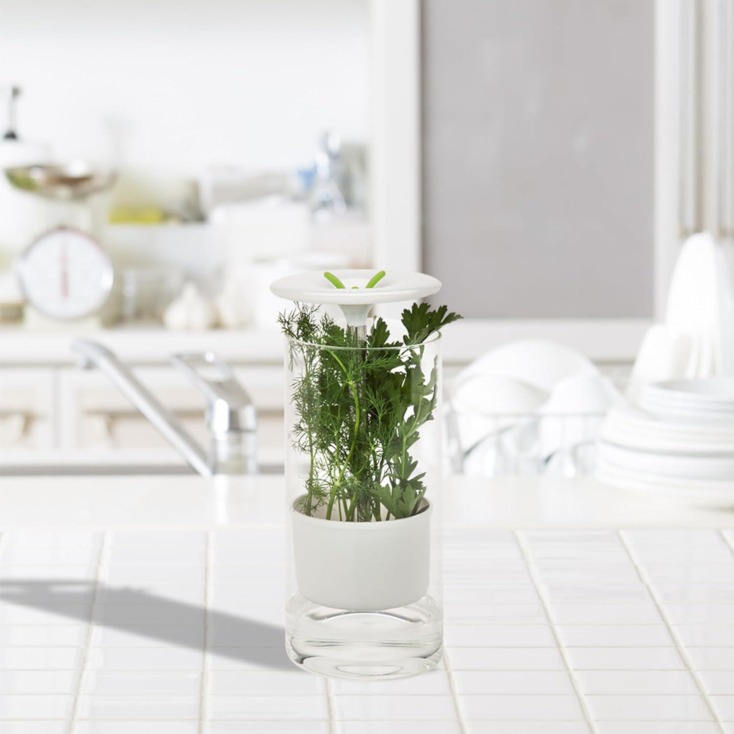 imageHoneyCanDo Glass Herb Preserver ClearWhite medium