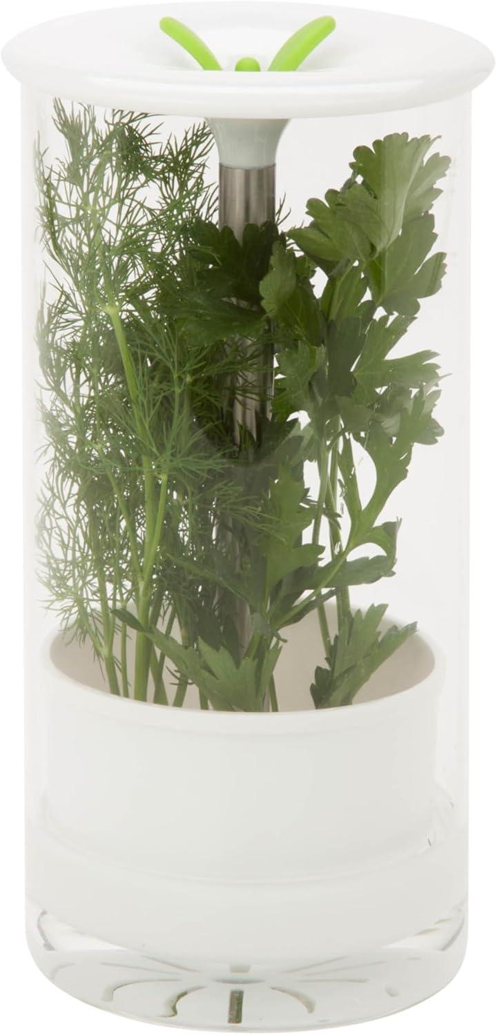 imageHoneyCanDo Glass Herb Preserver ClearWhite medium