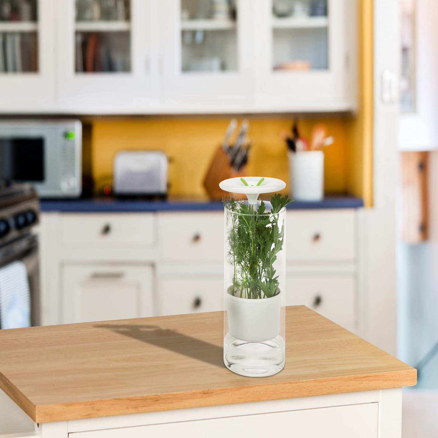 imageHoneyCanDo Glass Herb Preserver ClearWhite medium